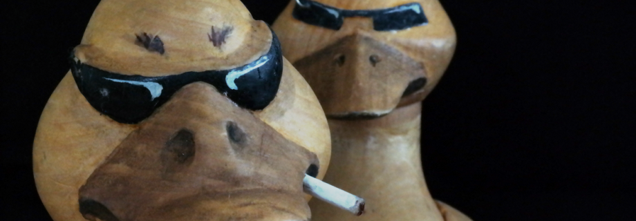 Das hässliche Entlein - die exen (DE), Foto: Dirk Wildt