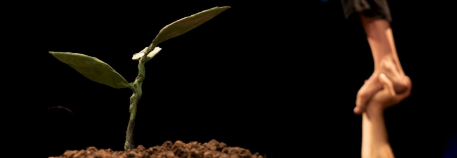 SEMILLA (3+) — Compagnie Tea Tree, Brüssel (BE), Foto: Bruno Boelpaep