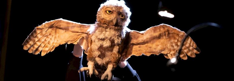 ALS DIE TIERE DEN WALD VERLIEßEN (8+) — Artisanen, Berlin (DE), Fotos: Sandra Hermannsen