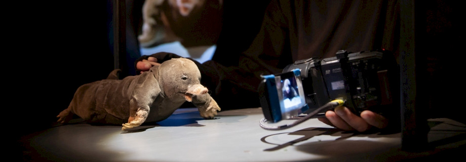 ALS DIE TIERE DEN WALD VERLIEßEN (8+) — Artisanen, Berlin (DE), Fotos: Sandra Hermannsen