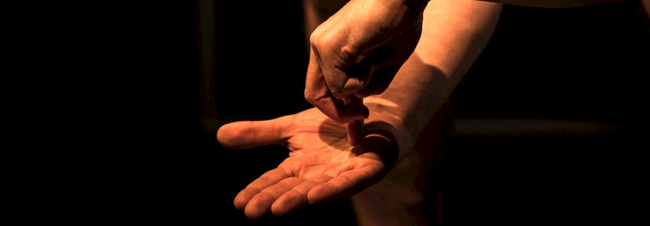 ALICE IM WUNDERLAND – EIN SPIEL MIT DER WIRKLICHKEIT (8+) – Fetter Fisch, Münster (DE), Fotos: Thomas Mohn